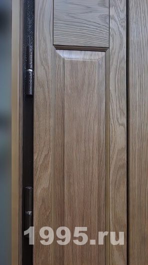 Петля Петля